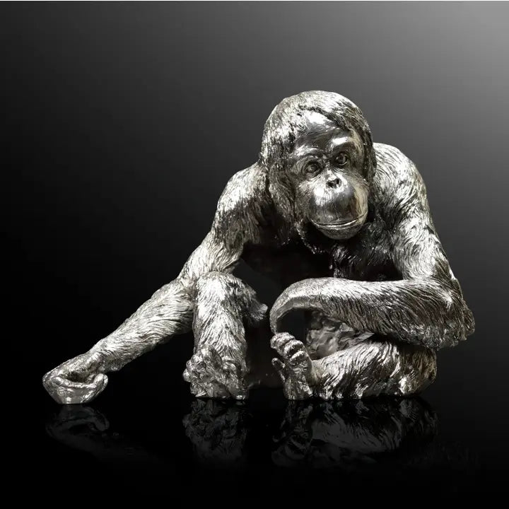 Orangutan - Horizon and Stone
