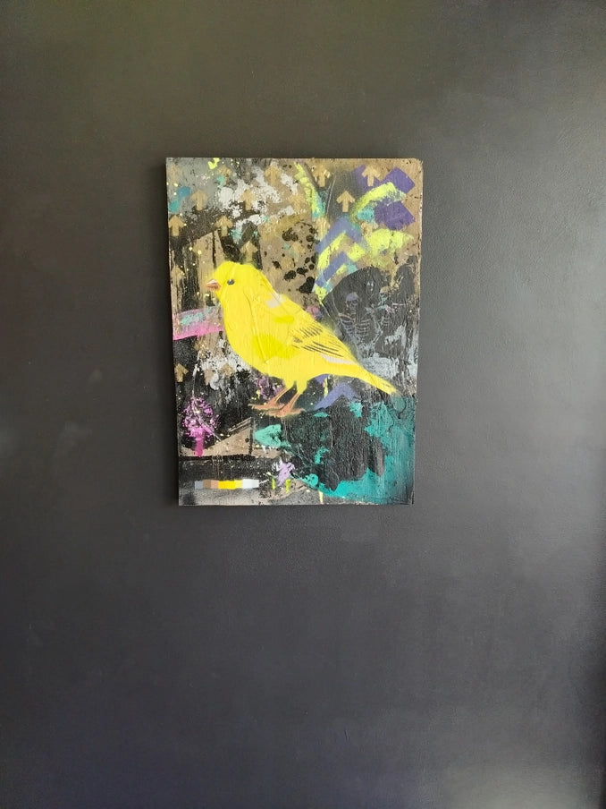 Canary, Above Ground - Horizon and Stone