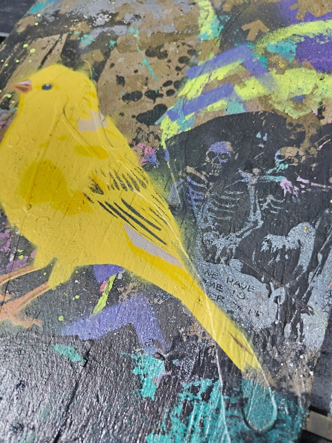 Canary, Above Ground - Horizon and Stone