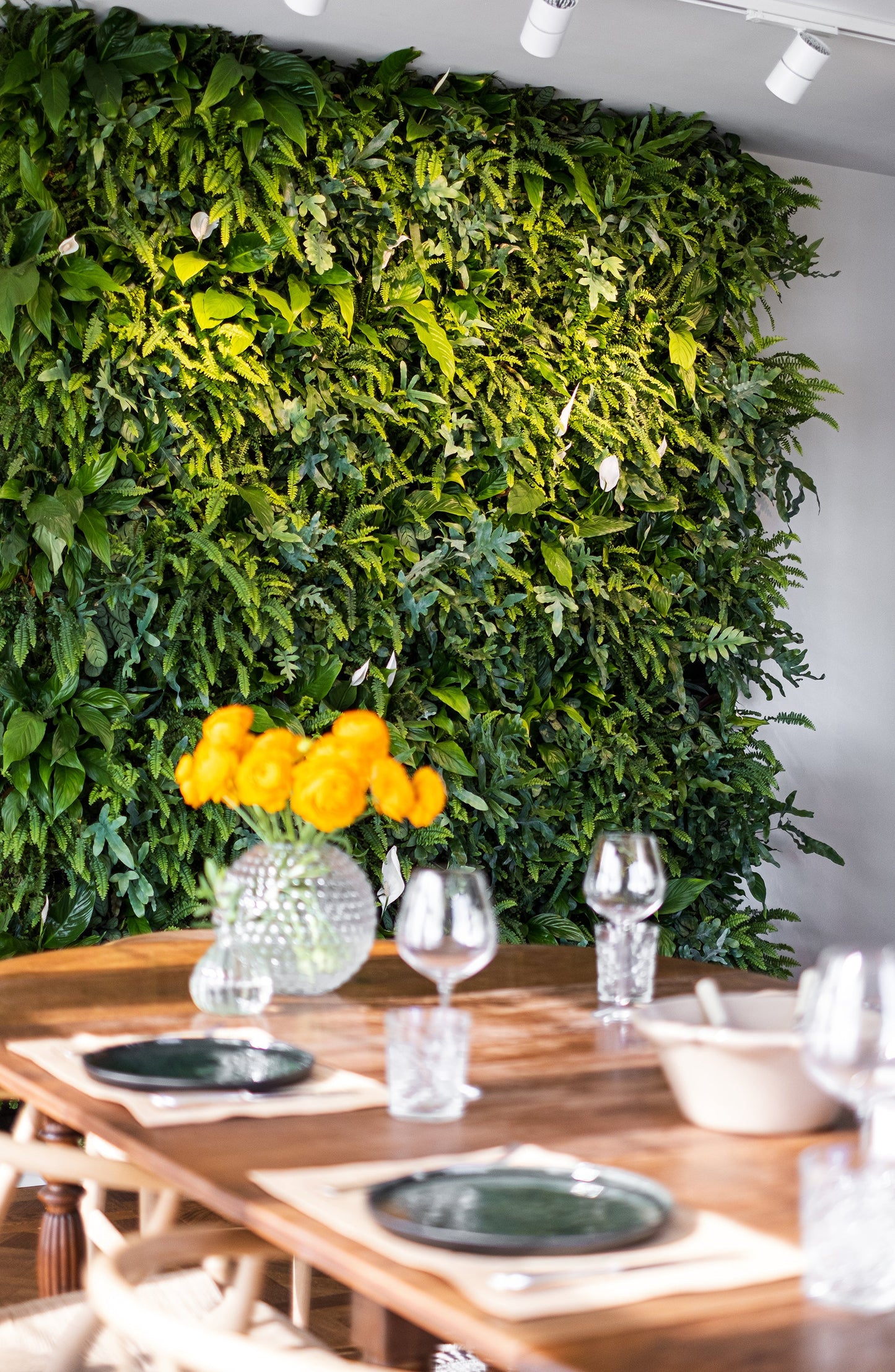 Frameless Living Wall System