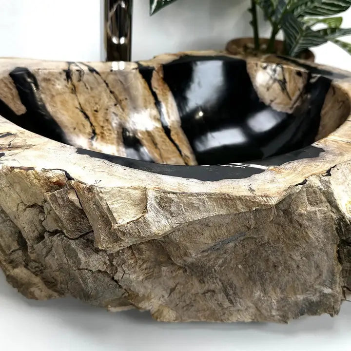 Petrified Wood Sink