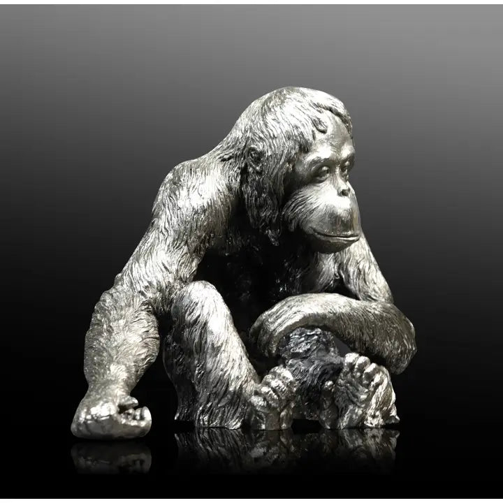 Orangutan - Horizon and Stone
