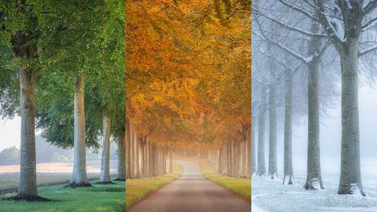 UNIQUELY SEASONAL