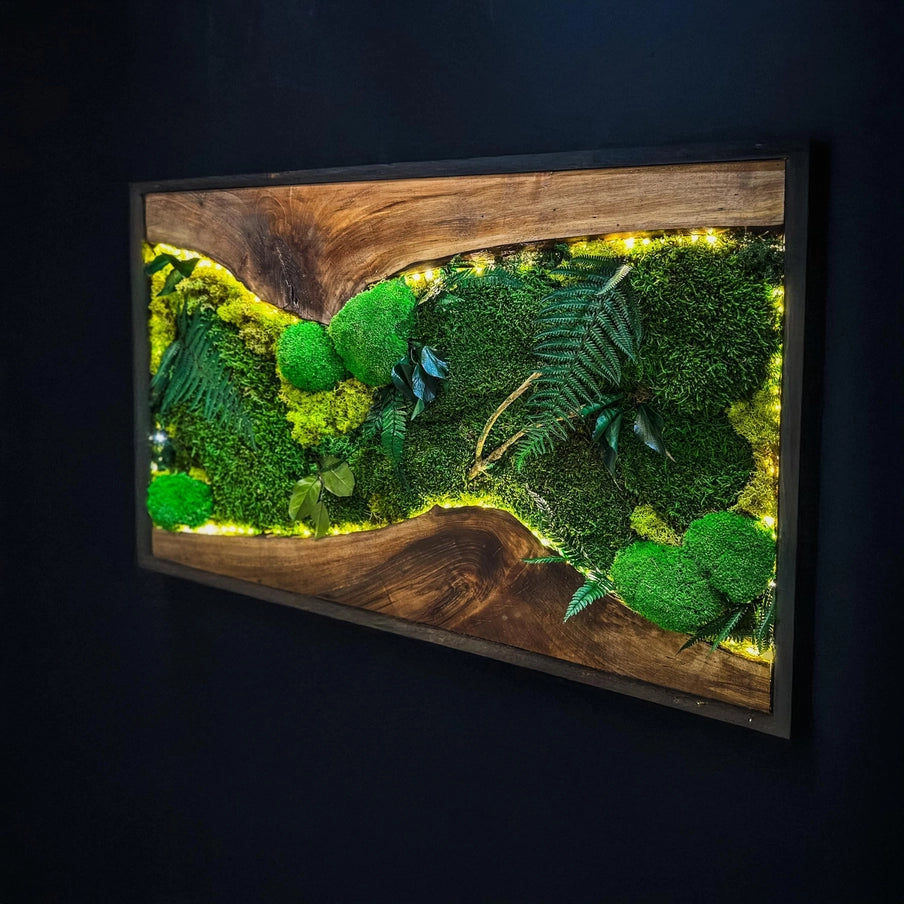 Moss Wall Art with Led Lights, Olive Wood and Preserved Moss Wall Decor, Handmade Biophilic Art, Preserved Stabilized Moss Living Wall Art - Horizon and Stone 