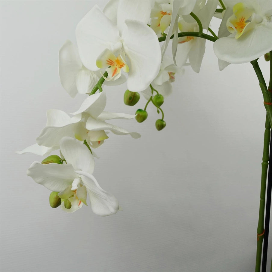 Giant White Orchid Plant Artificial 189 Flowers Real Touch - Horizon and Stone 