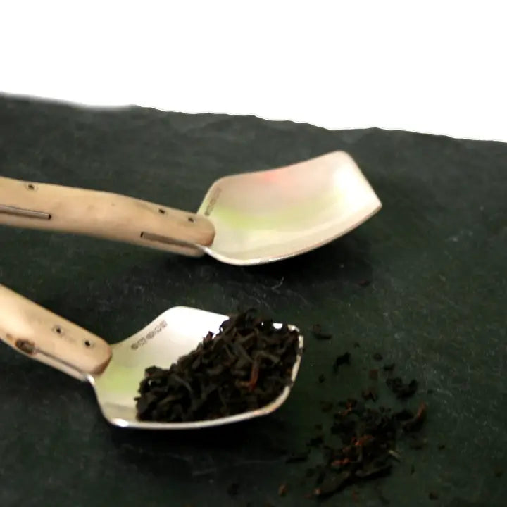 Caddy Spoon - Horizon and Stone 