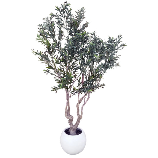 250cm Xxl Olive Tree - Horizon and Stone 