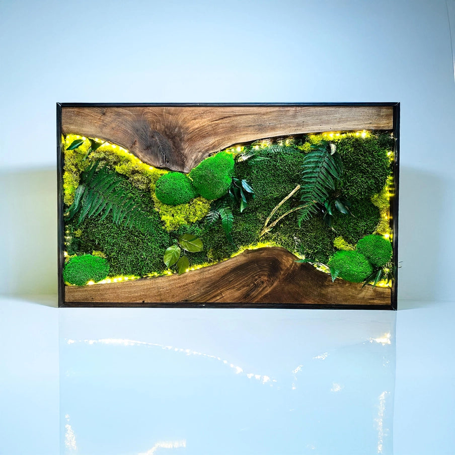 Moss Wall Art with Led Lights, Olive Wood and Preserved Moss Wall Decor, Handmade Biophilic Art, Preserved Stabilized Moss Living Wall Art - Horizon and Stone 