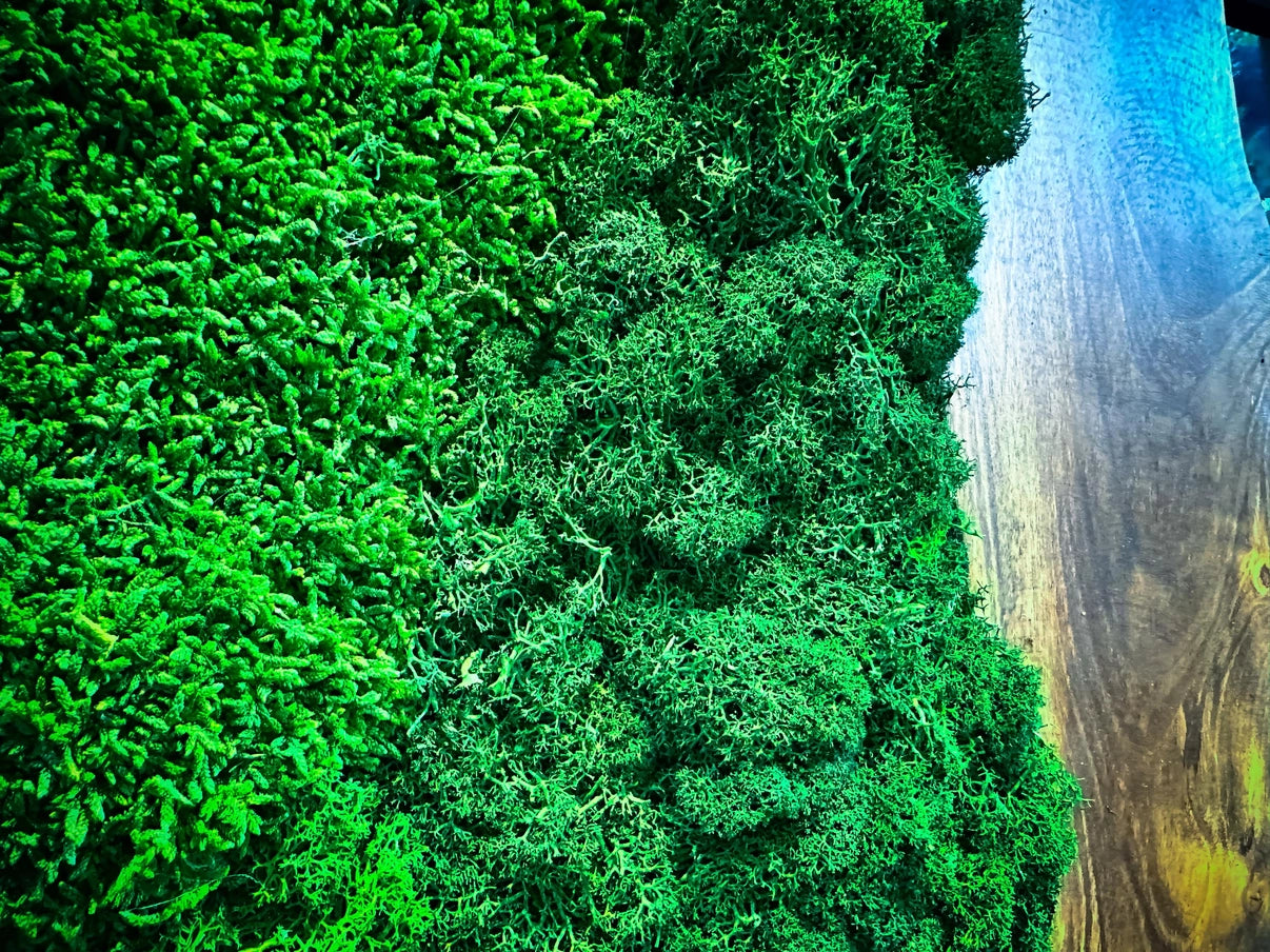 Moss and Wood Wall Art - Handmade Live Edge Olive Wood & Preserved Moss Wall River Design - Horizon and Stone 