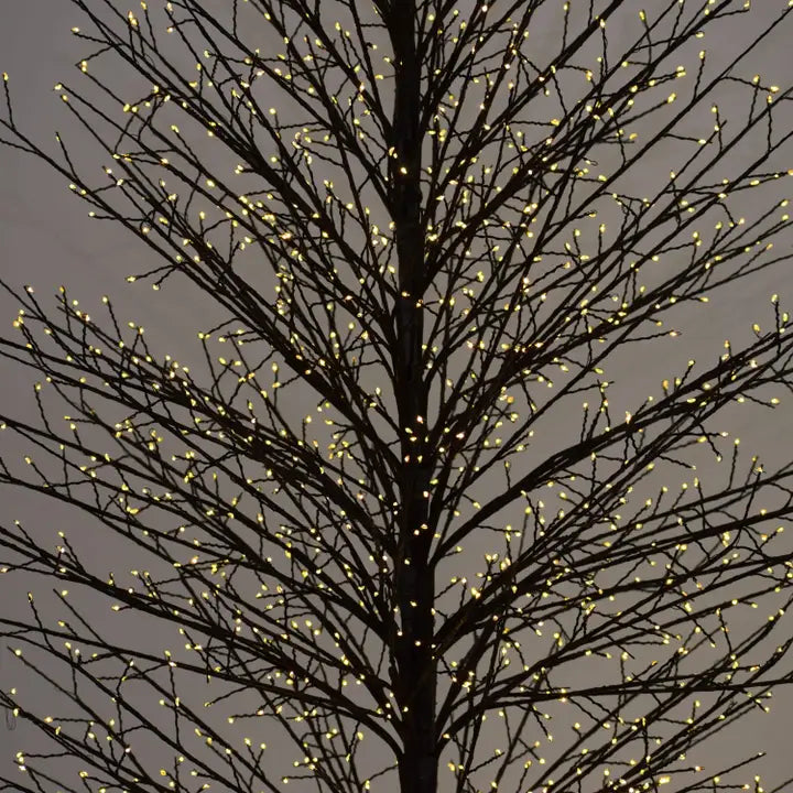 Led Black Tree 210cm - Horizon and Stone 