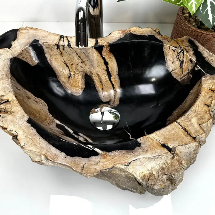 Petrified Wood Sink