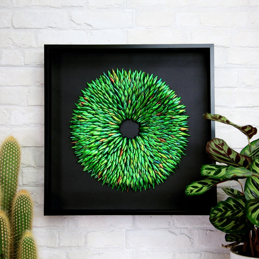 Jewel Beetle Elytra Mosaic Taxidermy Box Frame - Horizon and Stone 