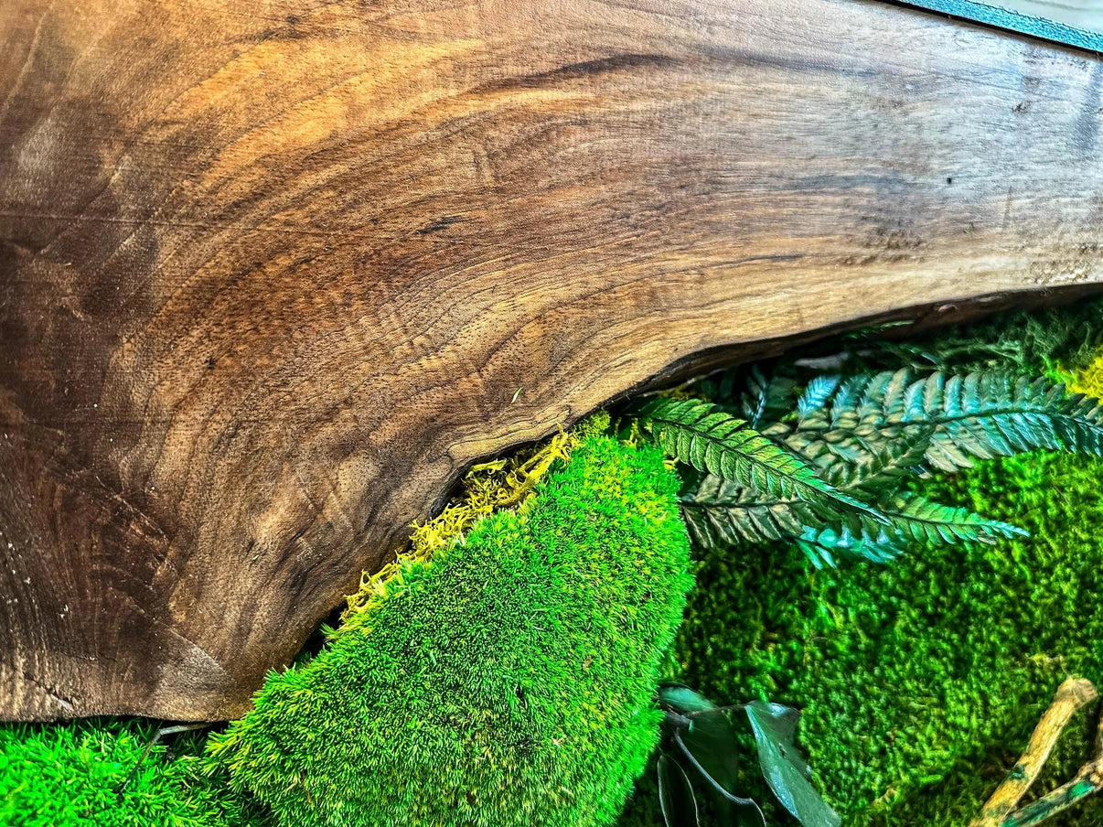 Moss Wall Art with Led Lights, Olive Wood and Preserved Moss Wall Decor, Handmade Biophilic Art, Preserved Stabilized Moss Living Wall Art - Horizon and Stone 