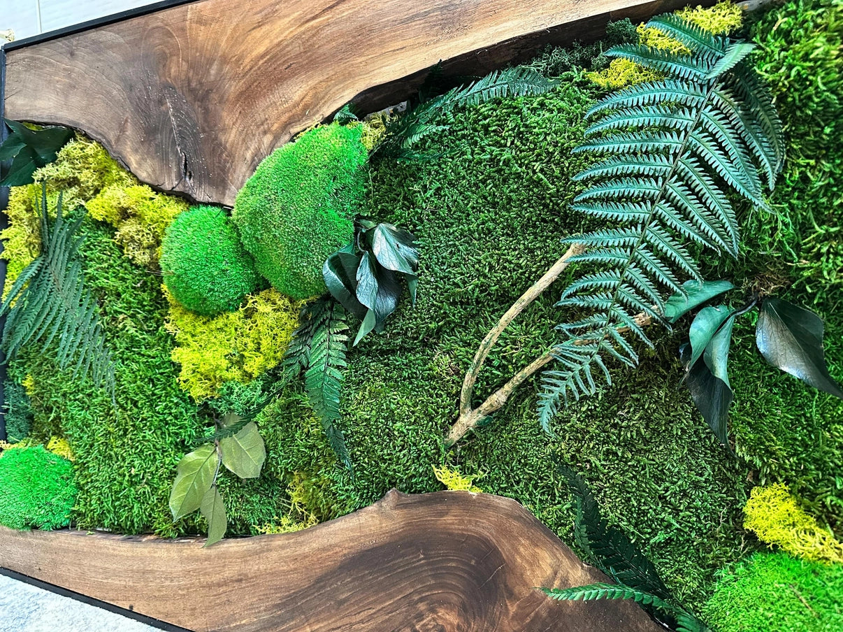 Moss Wall Art with Led Lights, Olive Wood and Preserved Moss Wall Decor, Handmade Biophilic Art, Preserved Stabilized Moss Living Wall Art - Horizon and Stone 
