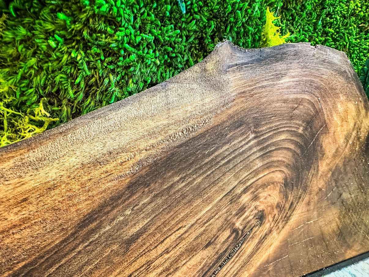 Moss Wall Art with Led Lights, Olive Wood and Preserved Moss Wall Decor, Handmade Biophilic Art, Preserved Stabilized Moss Living Wall Art - Horizon and Stone 