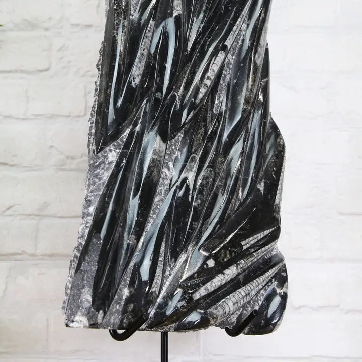 Xl Orthocera Black Marble Authentic Bespoke Steel Stand  - MIN 2 IN ORDER - Horizon and Stone 