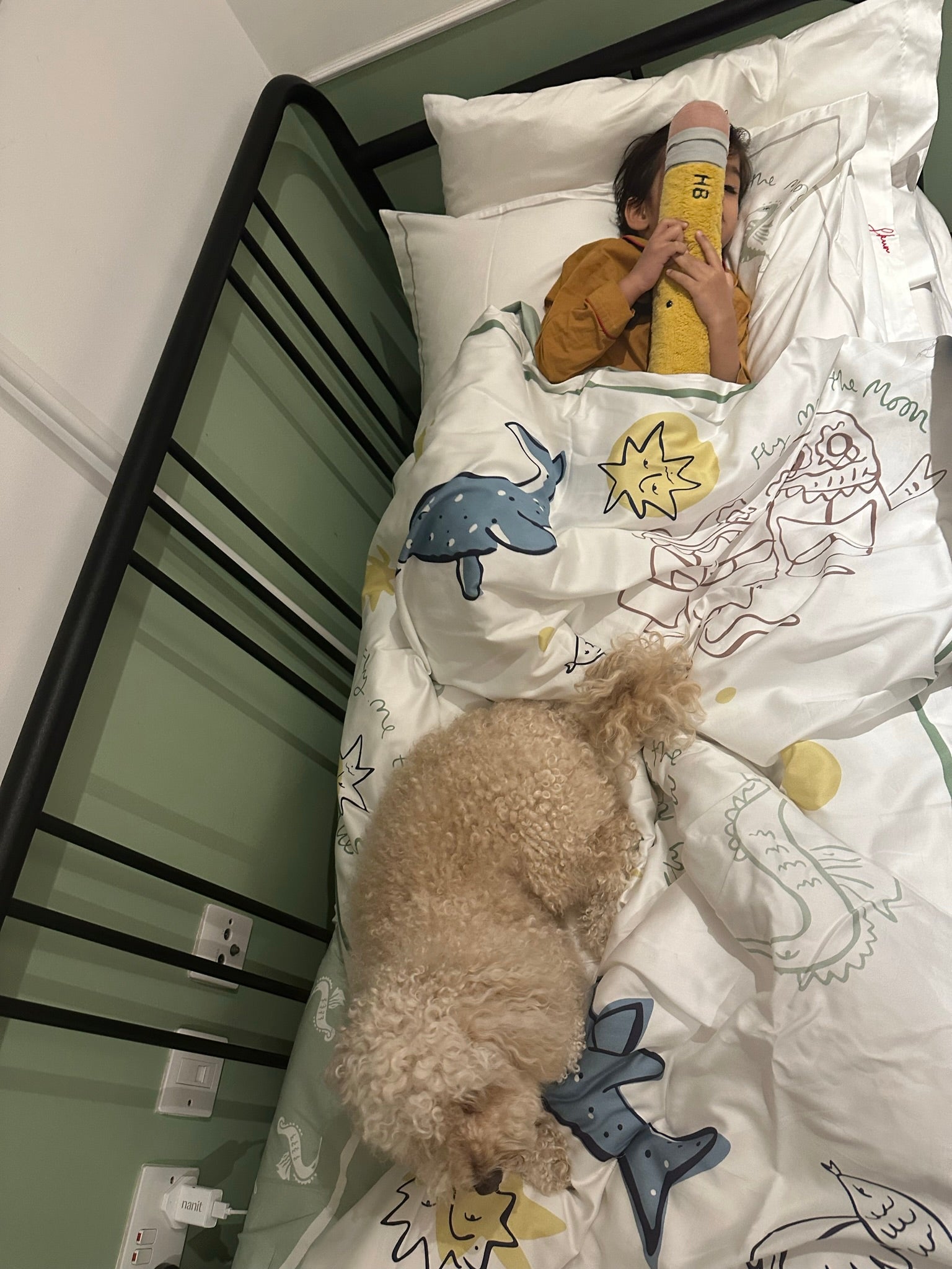 Fly me to the Moon - Reversible Duvet Set - Horizon and Stone 