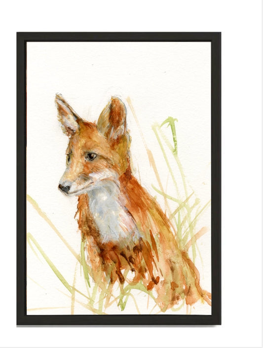 Limited Edition Framed Canvas Wall Art Oliver the Fox   20 X 28 CM  BLACK FRAME - Horizon and Stone 