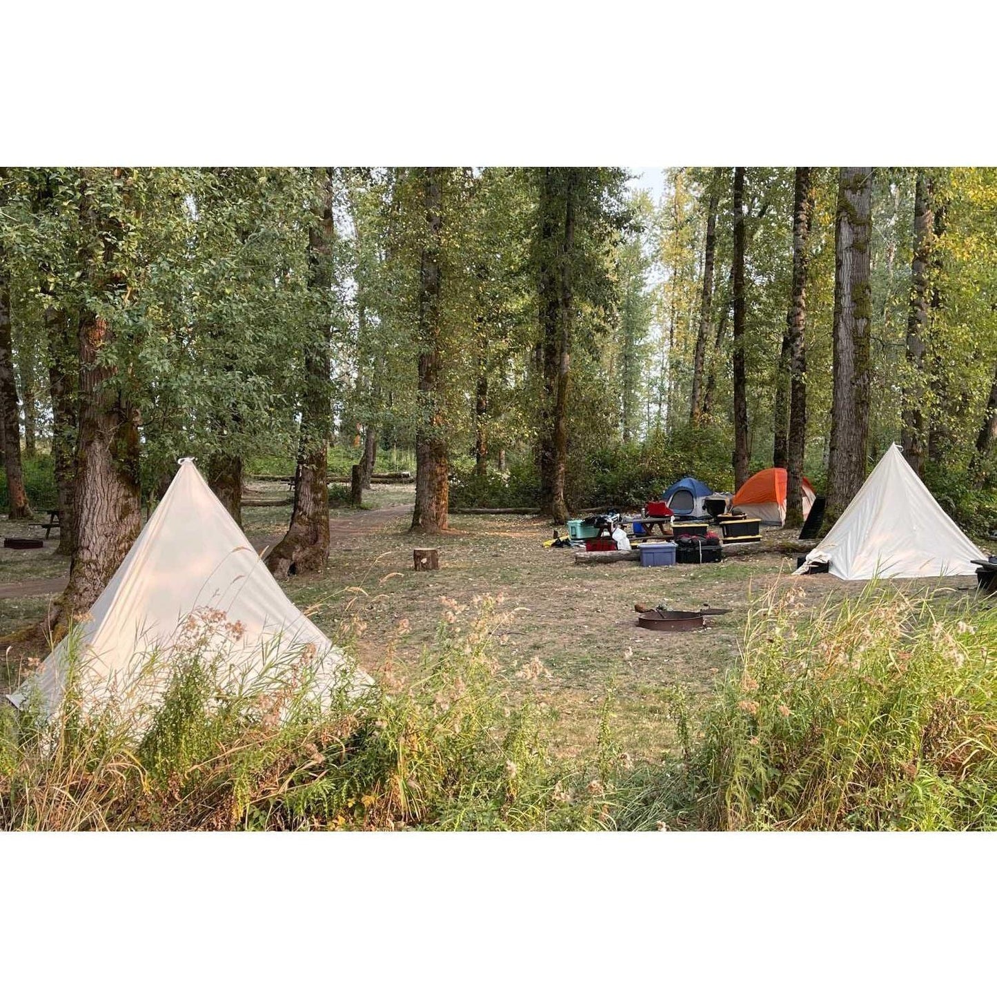BECKEL   The Miner. A Pyramid Range Tent - My Store