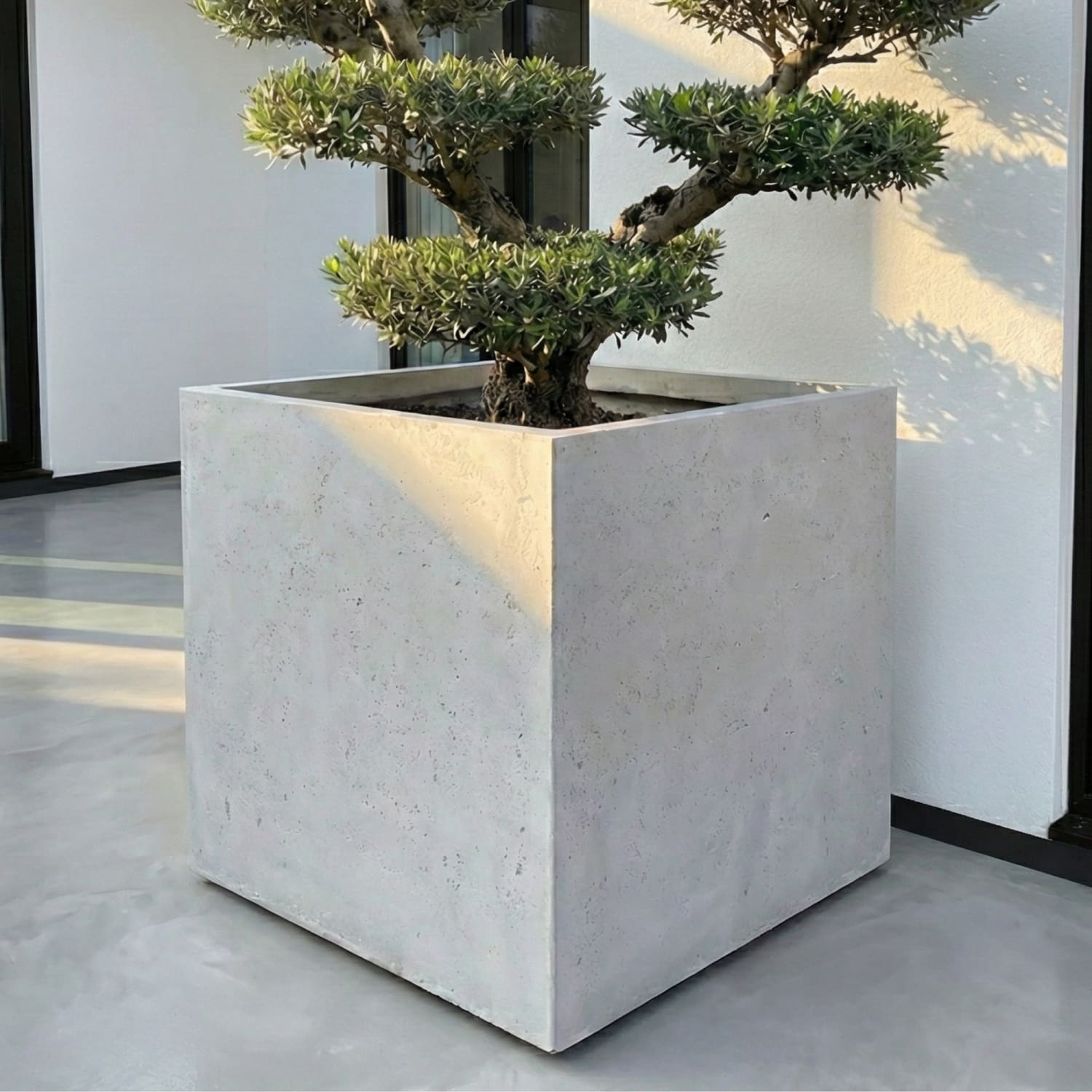 Cubrosa | White Mist – 100cm XXL Square Concrete Planter – 782L Large Outdoor Plant Pot - Horizon and Stone 