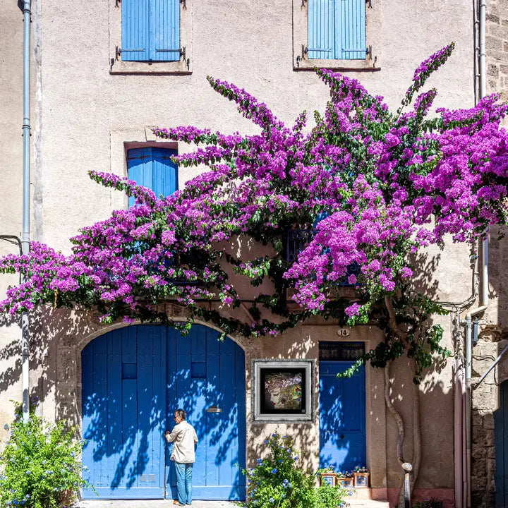 Titania Colour Outdoor Wall Art -