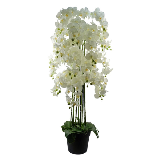 Giant White Orchid Plant Artificial 189 Flowers Real Touch - Horizon and Stone 