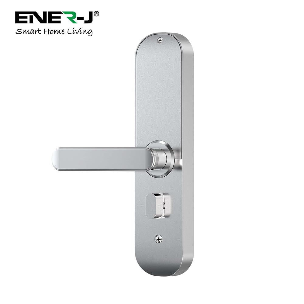 Smart Wi-Fi Doorlock Set (includes 3 Physical Keys and 3 RFID Card) Silver - Left Handle - Horizon and Stone 