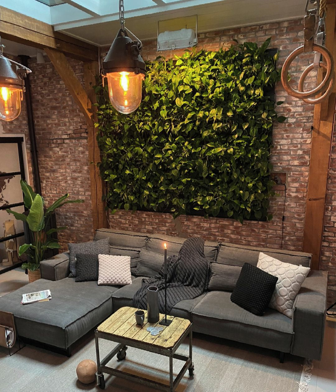 Frameless Living Wall System