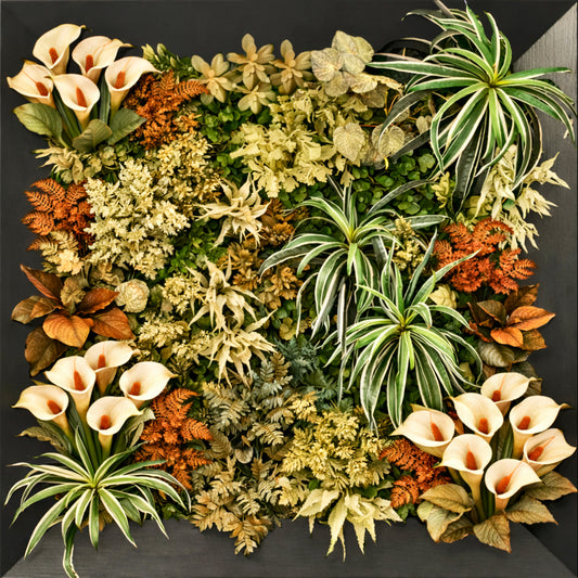 THE OASIS SERIES 2 - Horizon and Stone 