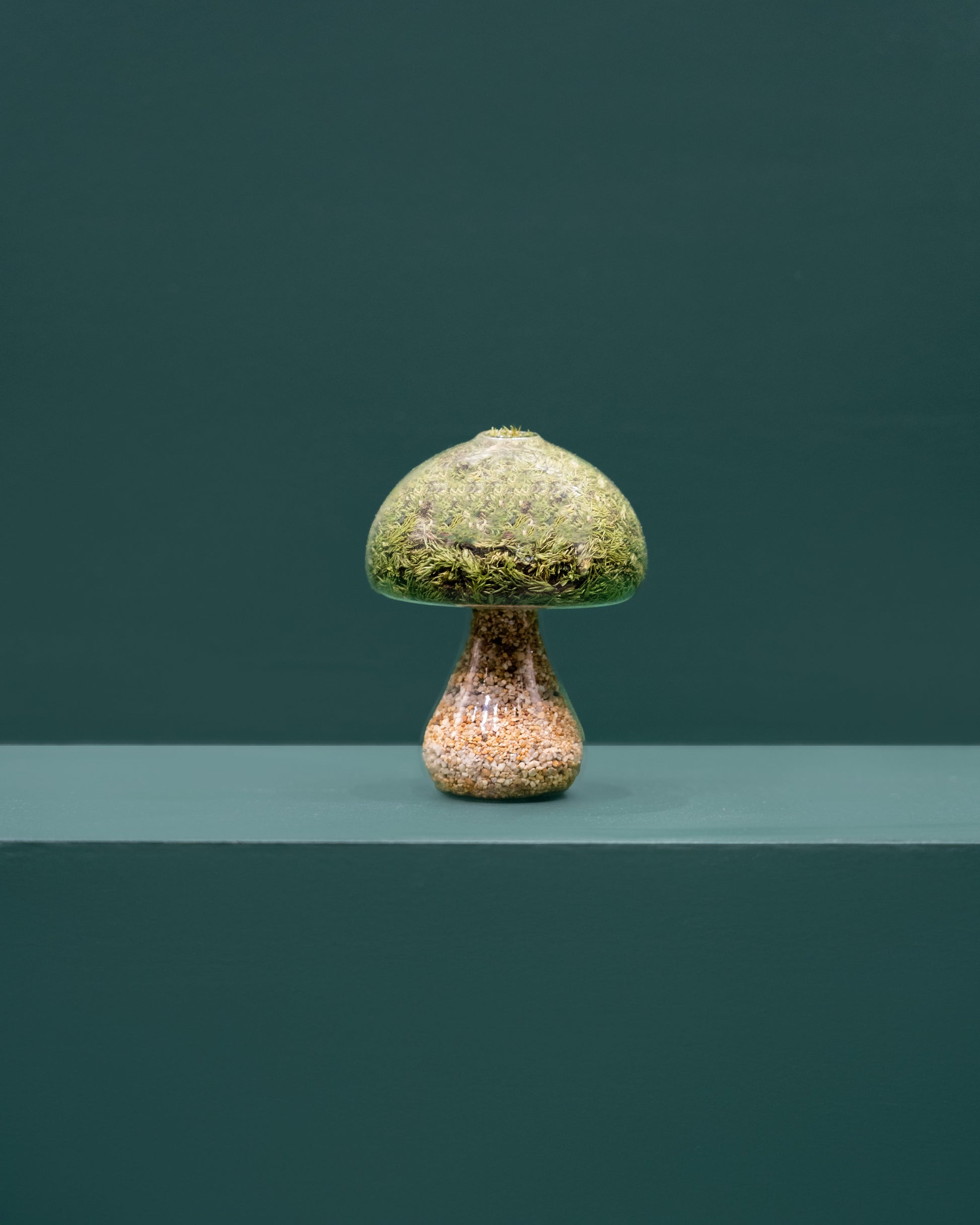 Moss Mushroom - Round - Natural Stone - Horizon and Stone 
