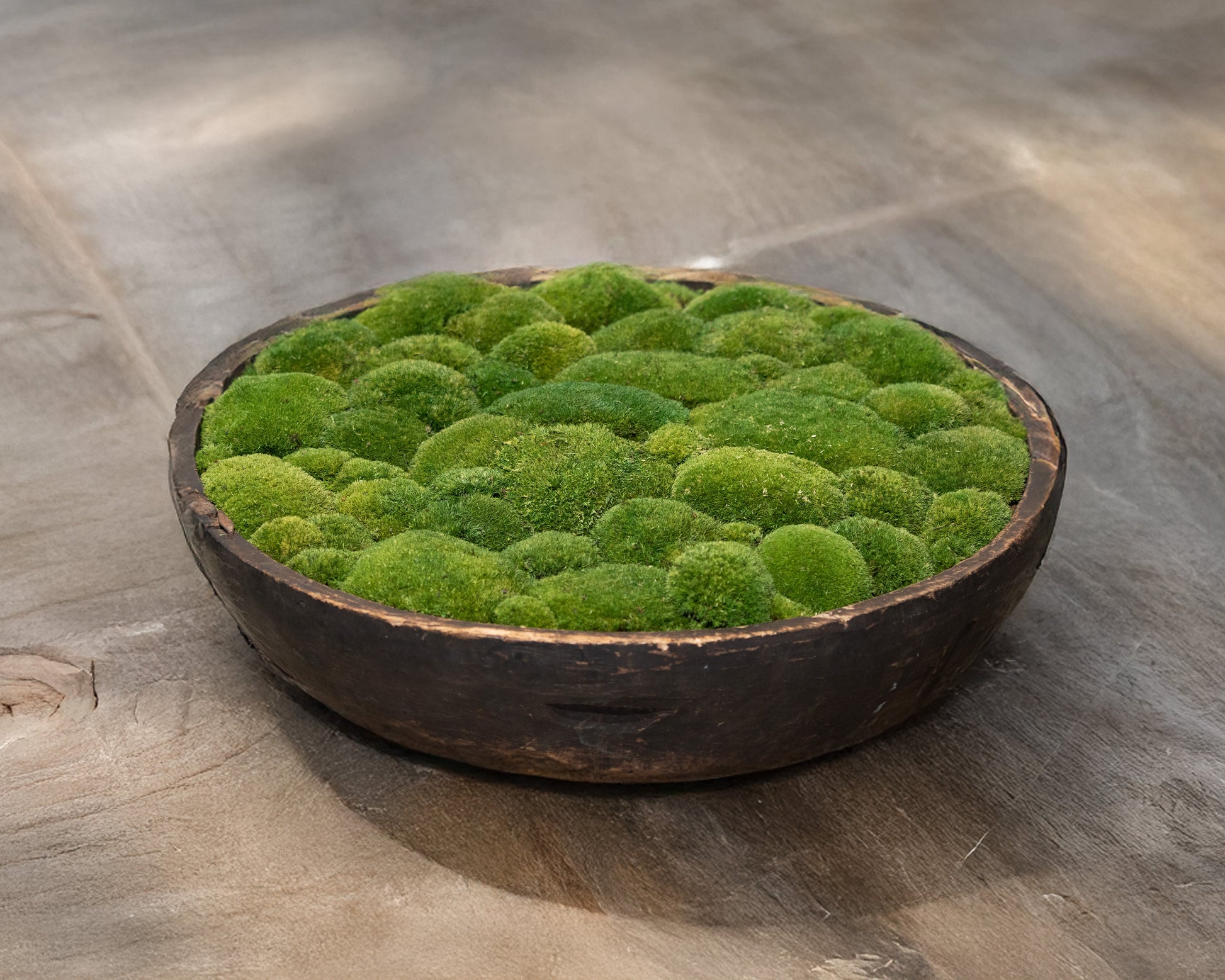 Vintage Wooden Bowl with moss FR59 - Horizon and Stone 