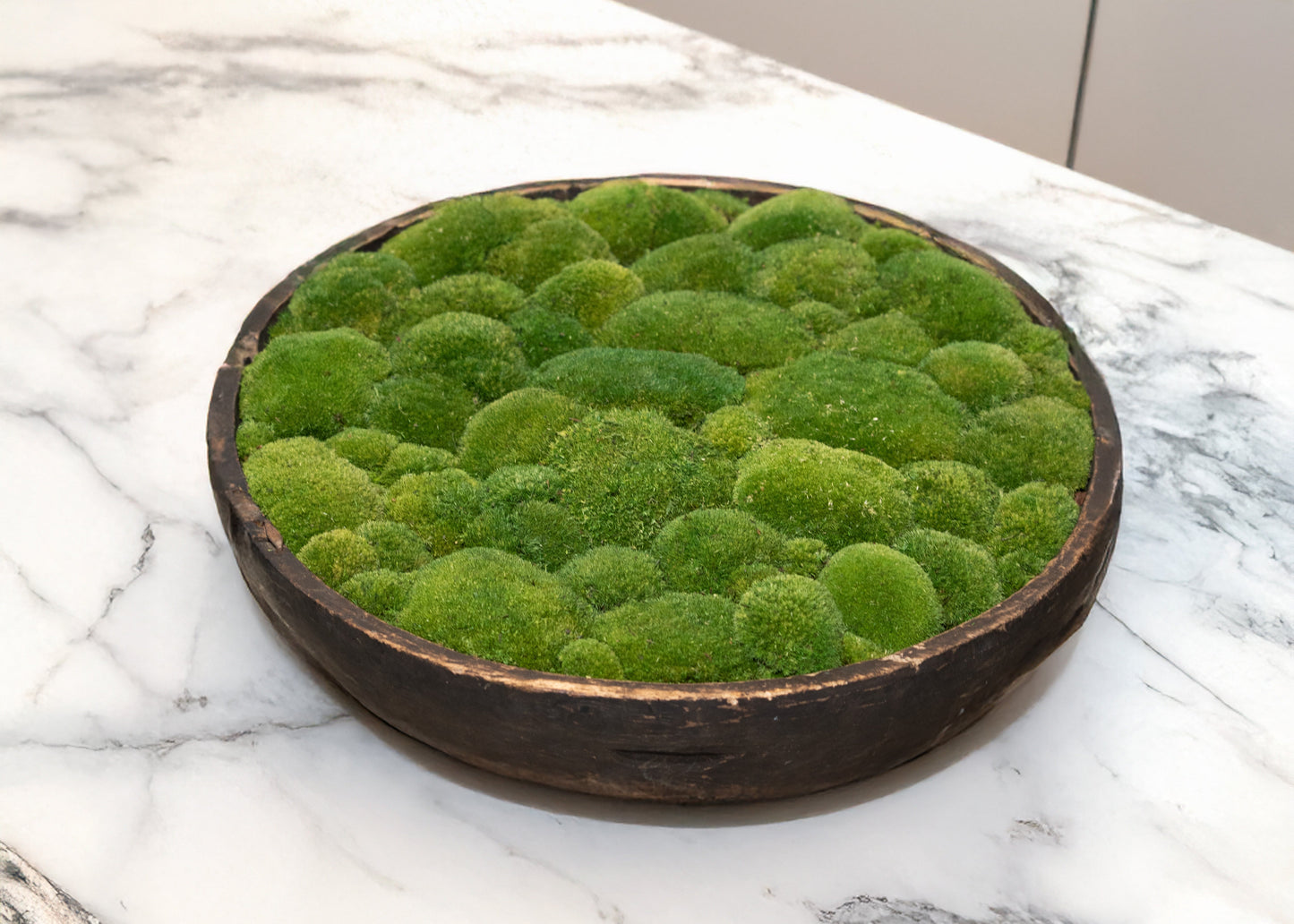 Vintage Wooden Bowl with moss FR59 - Horizon and Stone 