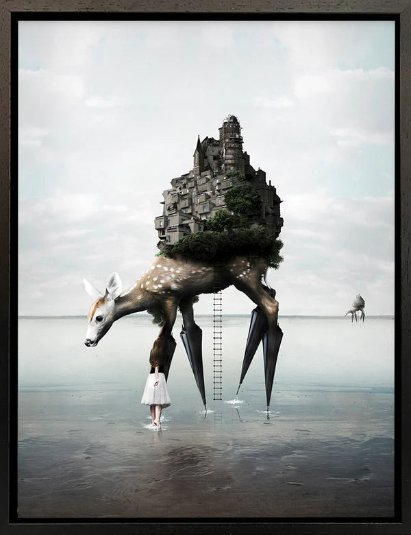 The Migration Canvas - Horizon and Stone 