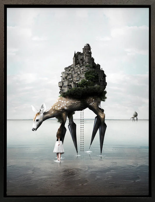 The Migration Canvas - Horizon and Stone 