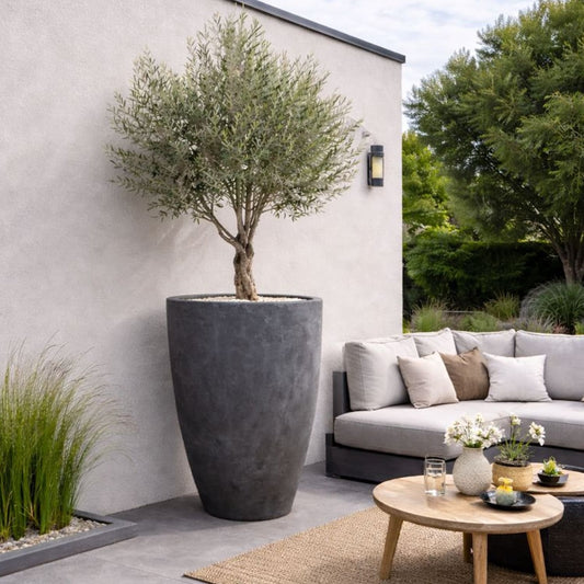 Vessara | Onyx Dusk – 100cm XXL Concrete Tall Vase Planter – 172L Round Plant Pot - Horizon and Stone 