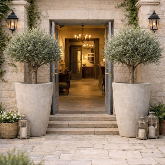 Vessara | Truffle – 100cm XXL Tall Concrete Planter – 172L Round Plant Pot - Horizon and Stone 